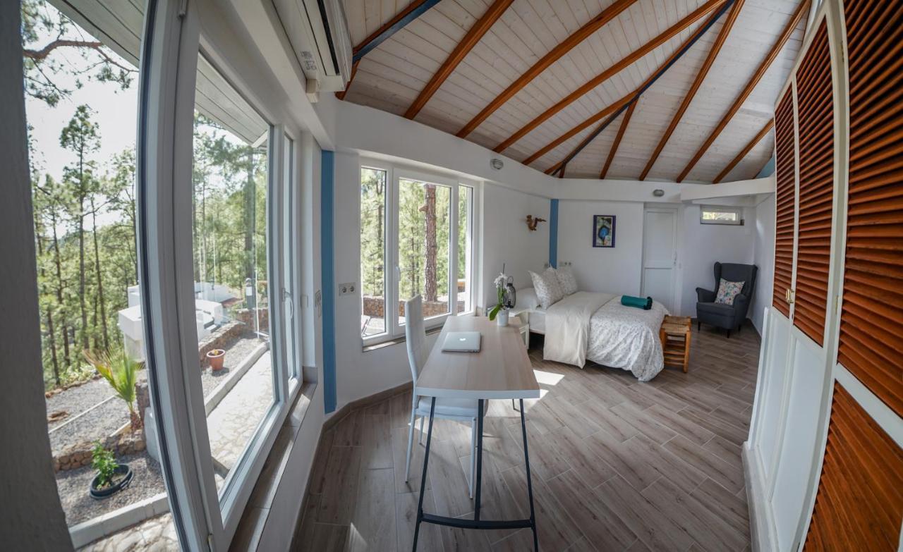 El Mirador De Tilman Villa El Paso Ngoại thất bức ảnh